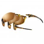 Tifosi Launch S.F.H. AC Red&trade;/Brown/Brown Gradient/Clear Le