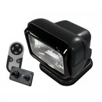 Golight 12V Permanent Mount RadioRay Combination - Black