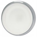 Lumitec Halo - Flush Mount Down Light - Brushed Finish - White N
