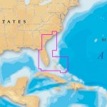 Navionics Platinum+ 906PP - Southeast and Bahamas - MicroSD&trad