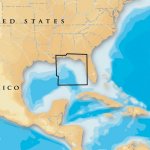 Navionics Platinum+ - East Gulf of Mexico - microSD&trade;/SD&tr